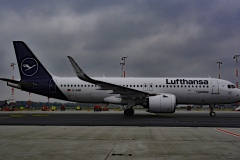 D-AINR_simon-jpg